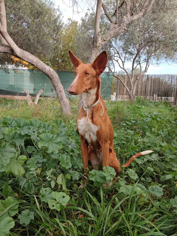 IMG-20250211-WA0103(1)