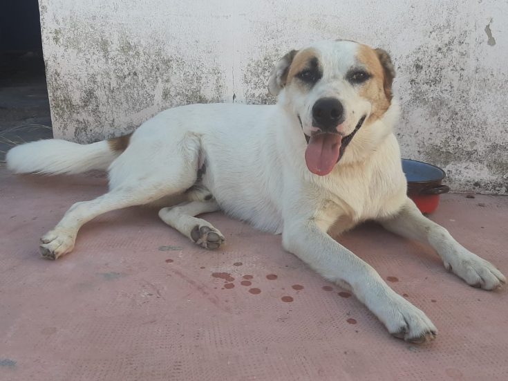 5810602e-d003-415a-b4c4-d989e8fb4411