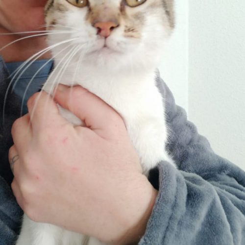 0873c044-1e34-40fc-9698-1b9a17bf3a99