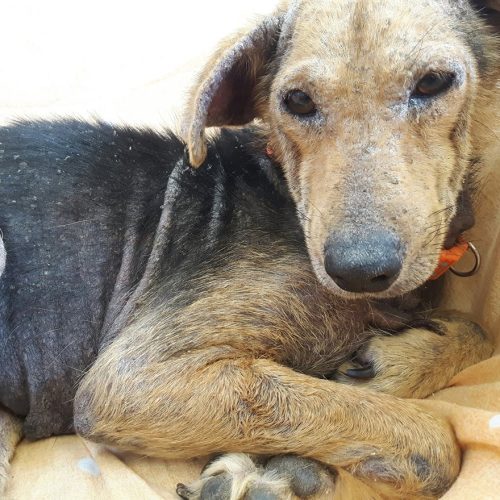 30706974_10156572980909614_2215693752173638748_n