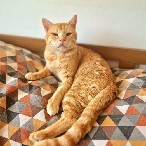 517775976_122166025442499416_8659141821354655160_n