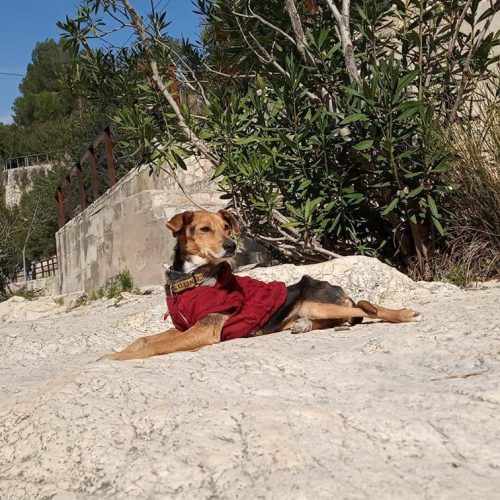 52807442_10157380309169614_4701936033074249728_n