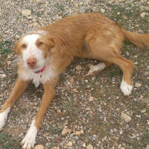 53871662_10157459057084614_4779396283653685248_n