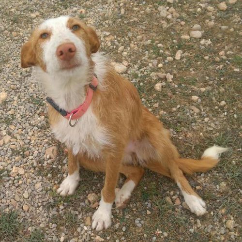 54517120_10157459056934614_3224856037920079872_n