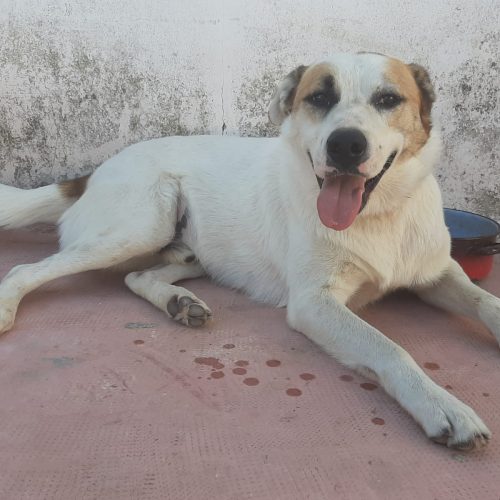 5810602e-d003-415a-b4c4-d989e8fb4411