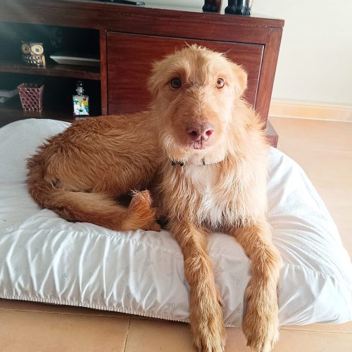 60c79b7d-f528-456a-948f-b6818a20d327