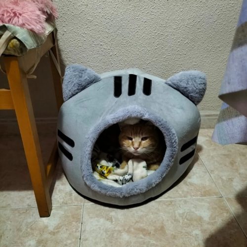 619064882_1352263693612992_7983451530157979027_n