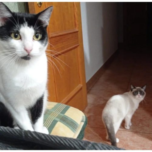 627052367_1365334688972559_2166556705374014054_n