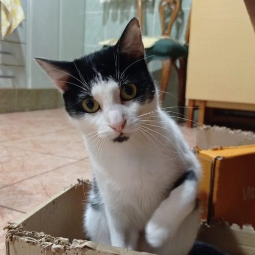 628107588_1365334635639231_7056015653518861015_n