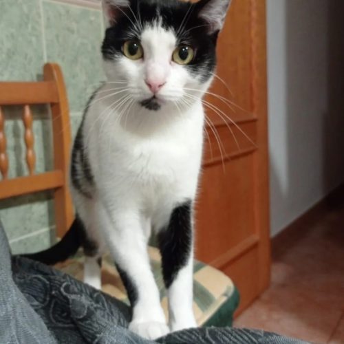 628274394_1365334668972561_2056725863333750879_n