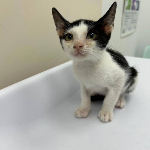 825326796_122217839348499416_7210310779813555495_n