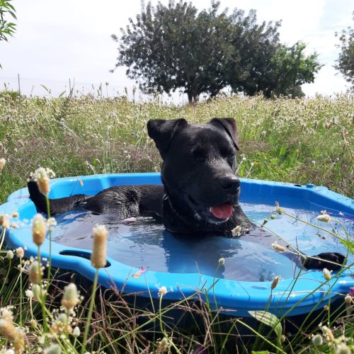 8a8cd22b-cd9e-4886-b140-ac1cef3437fa