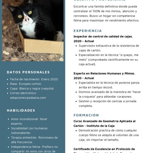 CV RESOBÓN_page-0001