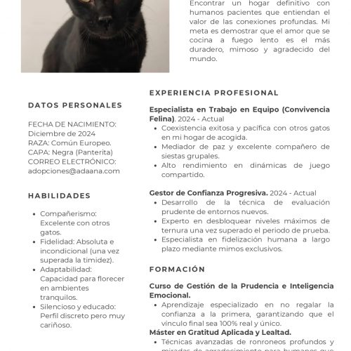 CV ZICK_page-0001