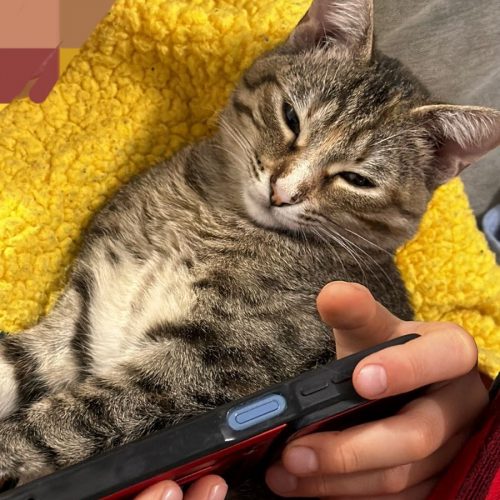 IMG-20260222-WA0078 (1)