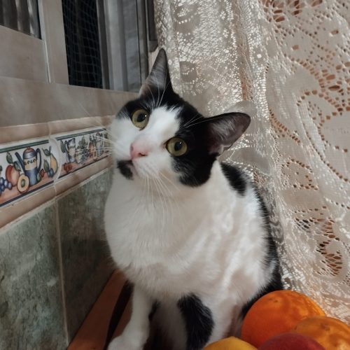 IMG-20260222-WA0092(1)