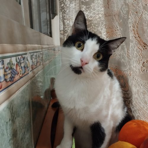 IMG-20260222-WA0093(1)