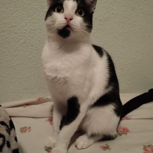 IMG-20260222-WA0094(1)