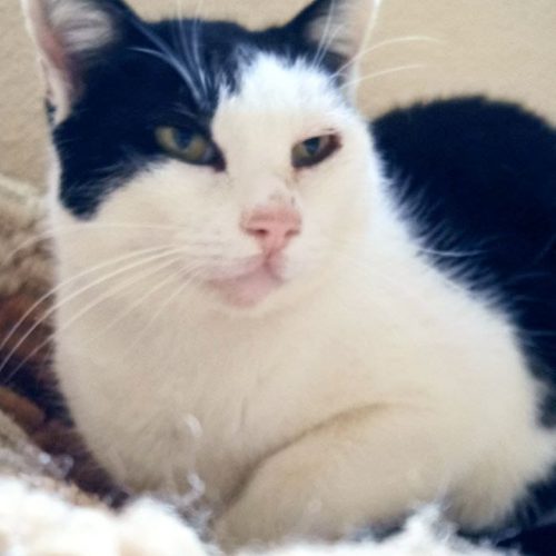 IMG-20260222-WA0095 (1)