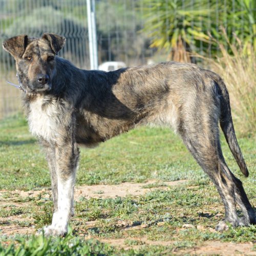 IMG-20260317-WA0049(1)