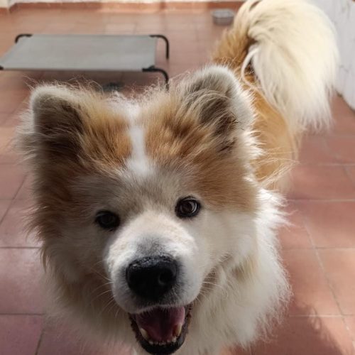 IMG-20260317-WA0052 (1)