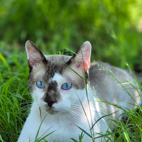 WhatsApp Image 2026-01-31 at 19.24.19 (2)