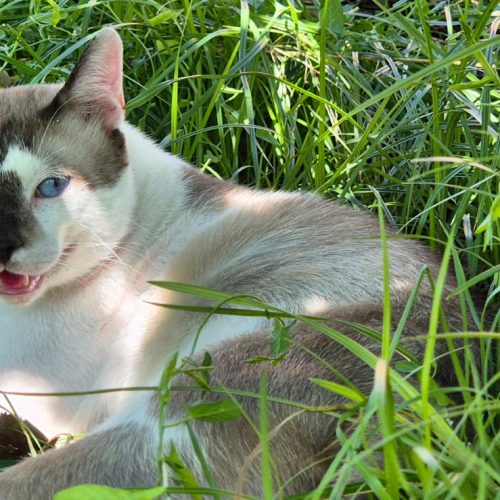 WhatsApp Image 2026-01-31 at 19.24.19 (3)