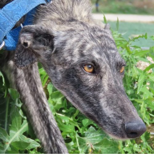 WhatsApp Image 2026-04-26 at 19.46.26