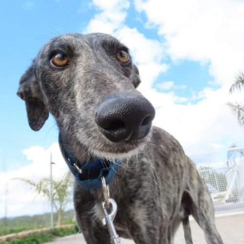 WhatsApp Image 2026-04-26 at 19.46.30 (1)