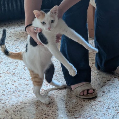 a61e0d58-84f7-4574-8070-a693839dcdb3