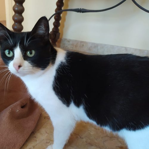 c8cc5bf1-14bd-4d59-90b3-f5d50a7eae0e