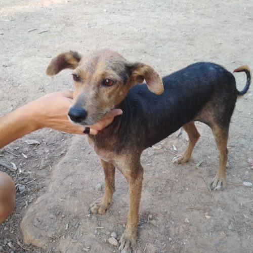 cbc11411-b649-47f1-b01c-722015dce1e3