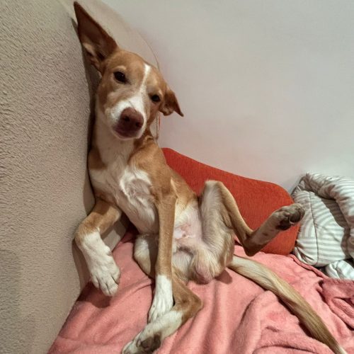 motion_photo_6048672419421345928