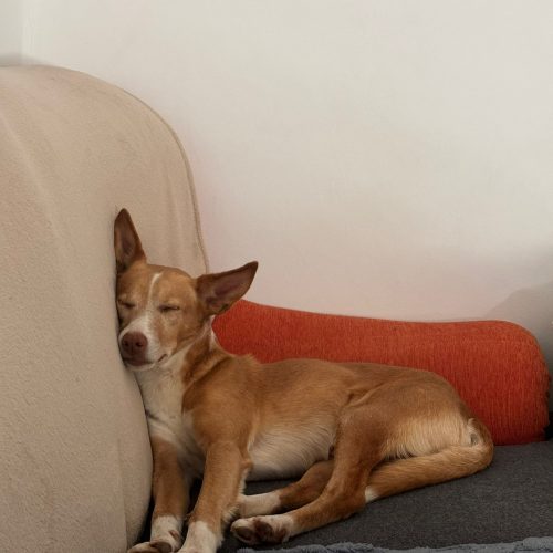 motion_photo_609790166142854957